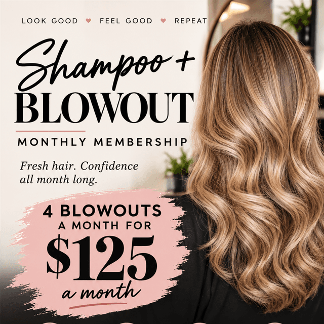 Shampoo, Blowout, & Style at Hair By Misty @ Lux HAIR Co in Rock Hill, SC